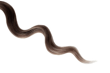 Brown hair on white background, isolated. Thin curly thread