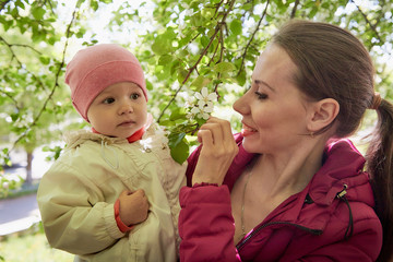 Portrait of young mother and her small daughter in the park full of apple blossom trees in a spring day. Woman and girl in nature landscape