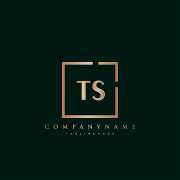 TS Initial Luxury logo vector.