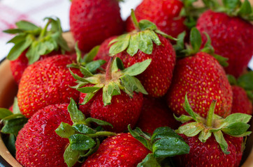 ripe red berry strawberry eco