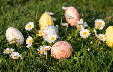 Easter beautiful multi-colored eggs on green grass