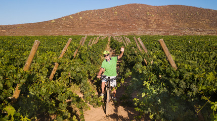 An elderly man greets the drone which picks it up while riding a bicycle in the middle of a vineyard. Excursion for healthy lifestyle. One people. Green vineyard and red mountain in background.