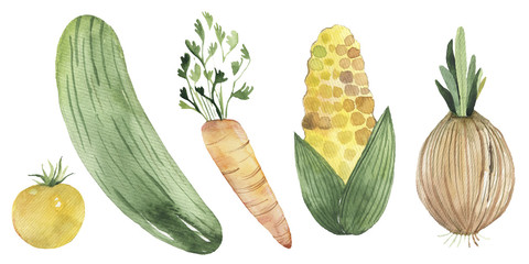 Vegetables set drawn watercolor tomato, cherry, yellow, green, peas, cucumber, parsley