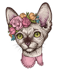Hand drawn portrait of cute Sphynx cat with a wreath on head. Vector illustration isolated on white