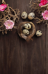 colorful easter eggs and spring flowers