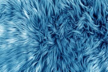 Blue fur for background or texture. 2020 Classic Blue pantone. Fuzzy blue fur plaid. Shaggy blanket...