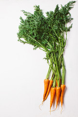 Fresh young carrots with green tops and leaves on a neutral white background