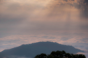 Fototapeta na wymiar White mist Alternating with the mountain views at Doi Ang Khang Chiang Mai Province.