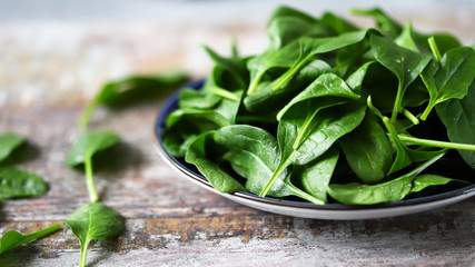Fresh baby spinach. Washed spinach leaves on a blue plate. Diet concept.