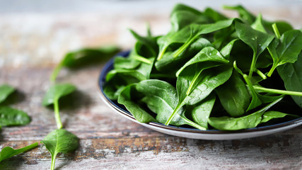 Fresh baby spinach. Washed spinach leaves on a blue plate. Diet concept.