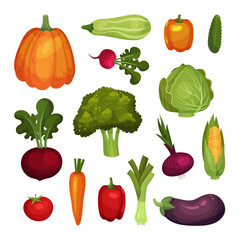 Fresh Vegetables Isolated on White Background Vector Set