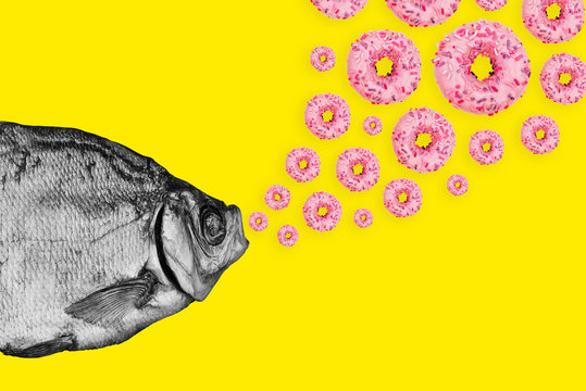 Naklejki Concept fish and donuts on a colored background. Modern art collage.