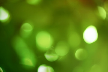 Green bokeh on nature defocus art abstract blur background