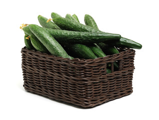 Green cucumber on the white background 