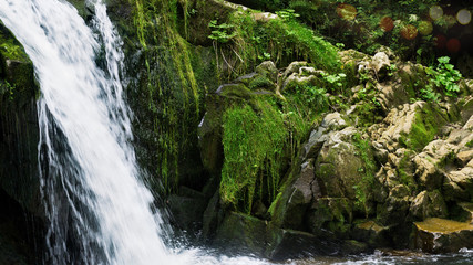 Obraz premium Closeup of forest beautiful waterfall in the mountains. Up-close view of stream cascade. Nature landscape using slow shutter for silky smooth waterfall effect Concept of wild life.