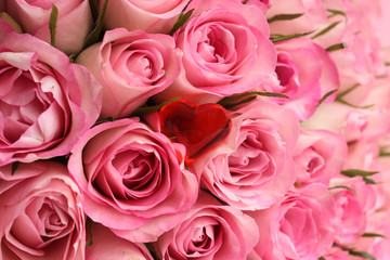 Pink roses solid background and red heart