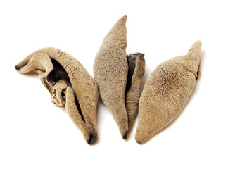 Fototapeta premium black fungus on white background