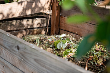 Homemade wooden compost bin in the garden. Recycling organic biodegradable material and household...