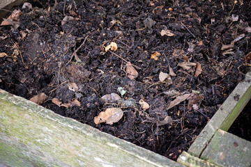 Homemade wooden compost bin in the garden. Recycling organic biodegradable material and household waste in composter.
