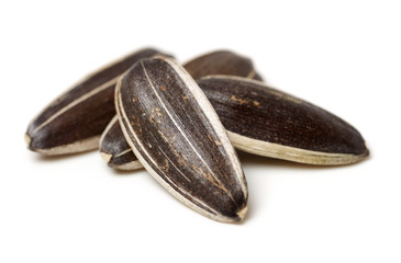Sunflower seeds on white background