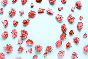 Pastel composition of coral, pink flowers, roses on a blue background.