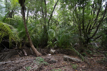 Seychelles Expedition 2009
