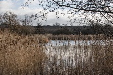 Sk&aring;ne landscape around Malm&ouml; in Sweden in January
