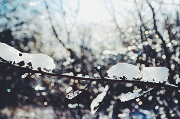 Processed with VSCO with f2 preset