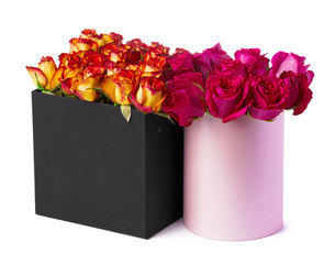 Beautiful boxes with fresh roses isolated on white background