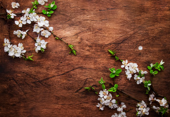 Spring blooming branches on wooden background. White Cherry blossoms top view, copy space