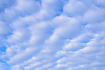 white cumulus clouds in blue sky, nature background