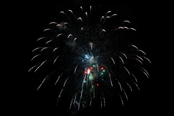 Beautiful new years firework celebration in black evening sky.
