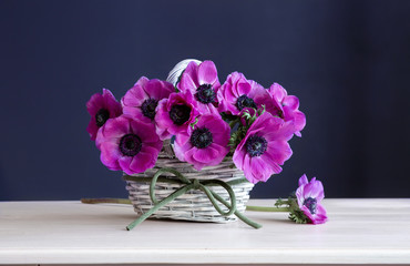 Bouquet of spring flowers ,anemones, blue background ,copy space