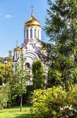 Fototapeta na wymiar Trees is growing on the background of orthodox church