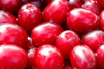 Fresh ripe red cornelian cherries as a background