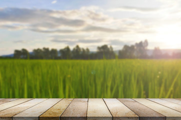 Wooden table against rice field blurry background.