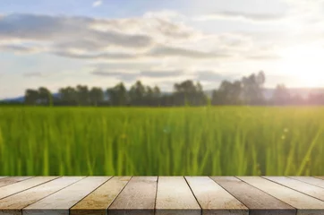 Poster Wooden table against rice field blurry background. © Pingun