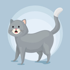 Fototapeta na wymiar cute little cat animal icon vector illustration design