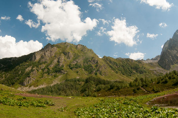 Naklejka premium This is sunny valley in Caucasus mountains in summer
