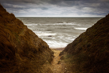 the wind blows big waves at sea