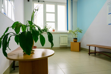 Photo of the interior of the room in the building with flowers in front of the window