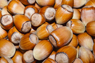 Hazelnuts background