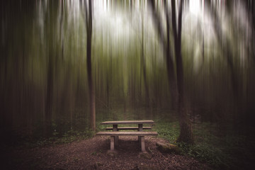 Mesa de picnic dentro del bosque difuminado