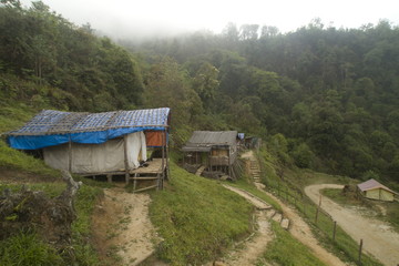 Campsite at lama camp , Arunachal Pradesh