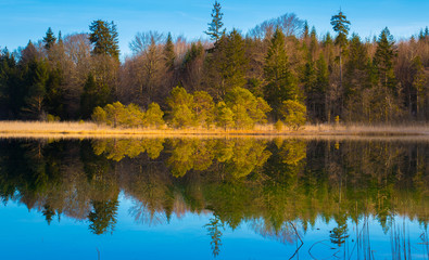 Bosque otoñal reflejado en el lago