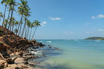 Mirissa coconut beach with palm trees and blue water, Sri Lanka