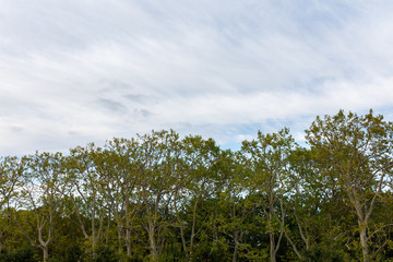 Blue sky over the Memorial in the Treptower Park in Berlin