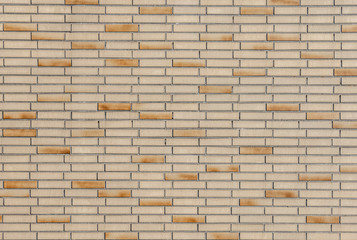 brick wall gives a structured background