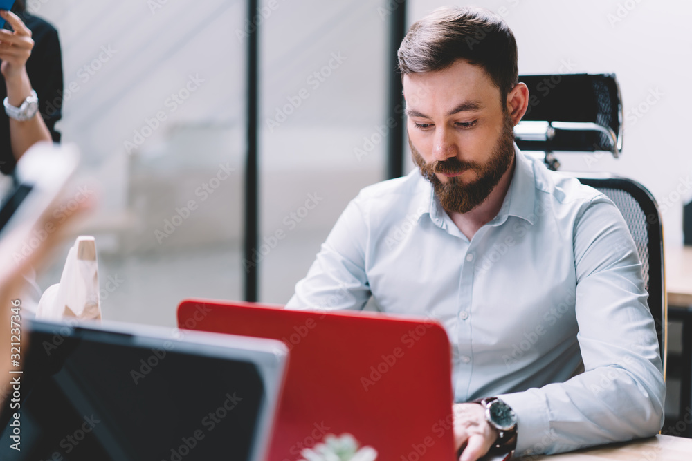 Wall mural Focused bearded businessman typing on laptop