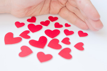 Valentine's Day background. Women's hands hold many red hearts in the palm against the white...
